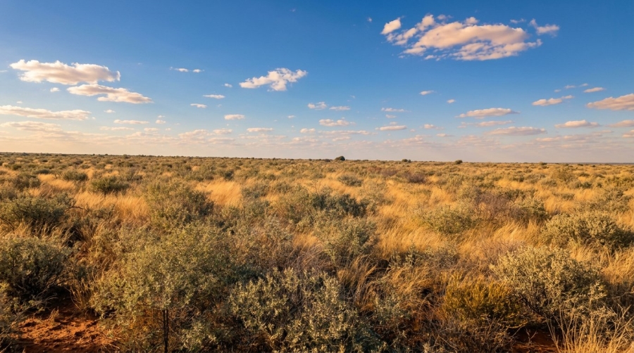 Commercial Property for Sale in Barkly West Northern Cape